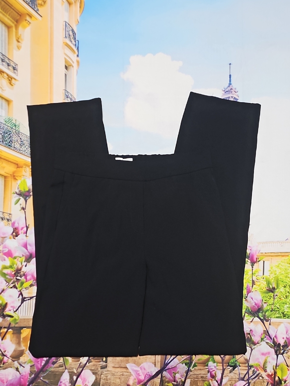 Babaton Black High-Waisted Pants Size 2